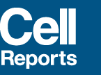 cell_reports_logo