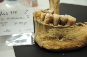 earlyfarmer-small (1)