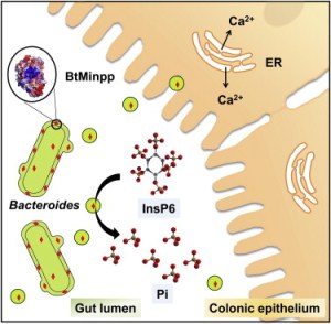 PowerPoint Presentation