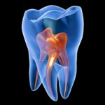 Microbiología Endodóntica (Especialidad en Endodoncia)