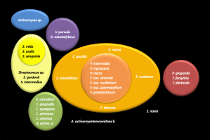 Microbiología Periodontal (Especialidad en Periodoncia)