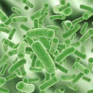 Microbiología Temas Selectos (Materiales Dentales)