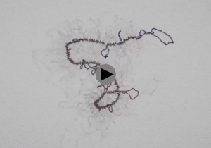 Video DNA supercoiling